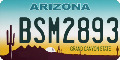 AZ license plate BSM2893