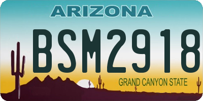 AZ license plate BSM2918