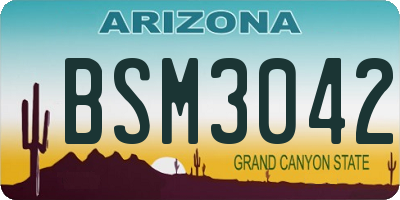 AZ license plate BSM3042