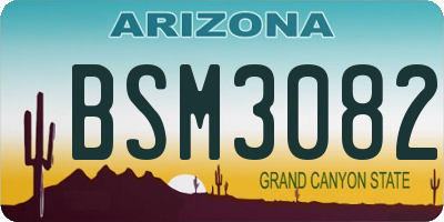 AZ license plate BSM3082