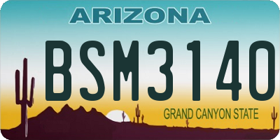 AZ license plate BSM3140