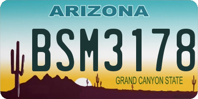 AZ license plate BSM3178
