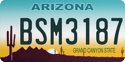 AZ license plate BSM3187