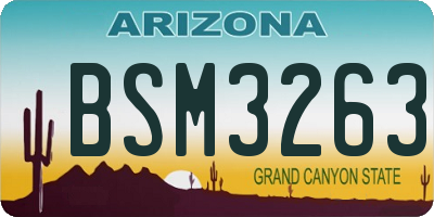 AZ license plate BSM3263