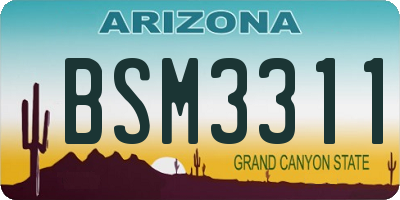 AZ license plate BSM3311