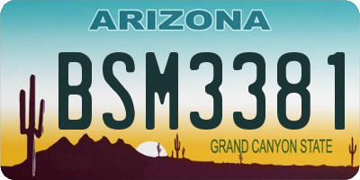 AZ license plate BSM3381