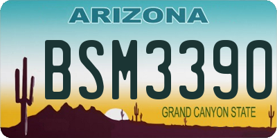 AZ license plate BSM3390