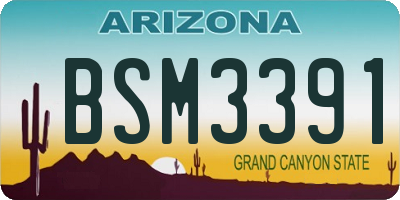 AZ license plate BSM3391