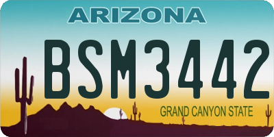 AZ license plate BSM3442