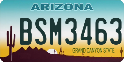 AZ license plate BSM3463