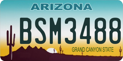 AZ license plate BSM3488