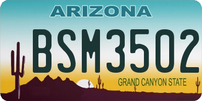 AZ license plate BSM3502