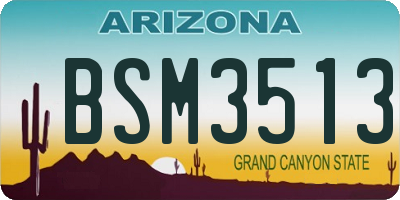 AZ license plate BSM3513