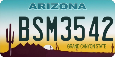 AZ license plate BSM3542