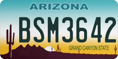 AZ license plate BSM3642
