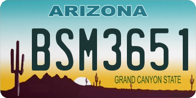 AZ license plate BSM3651