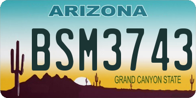 AZ license plate BSM3743