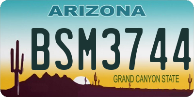 AZ license plate BSM3744