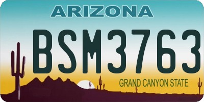 AZ license plate BSM3763