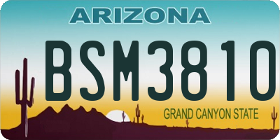 AZ license plate BSM3810