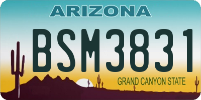 AZ license plate BSM3831