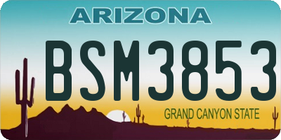 AZ license plate BSM3853