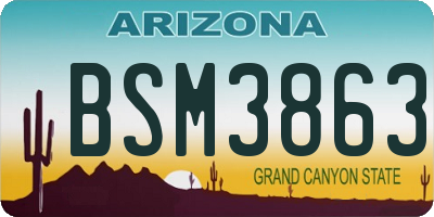 AZ license plate BSM3863
