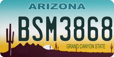 AZ license plate BSM3868