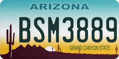 AZ license plate BSM3889