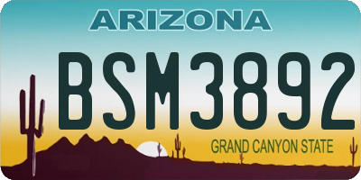 AZ license plate BSM3892