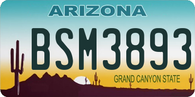 AZ license plate BSM3893