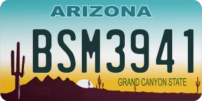 AZ license plate BSM3941