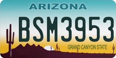 AZ license plate BSM3953