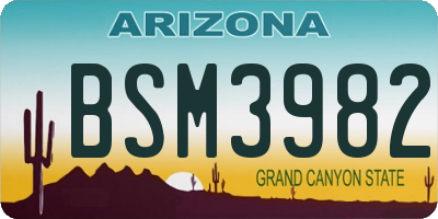 AZ license plate BSM3982