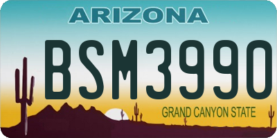 AZ license plate BSM3990