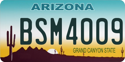 AZ license plate BSM4009