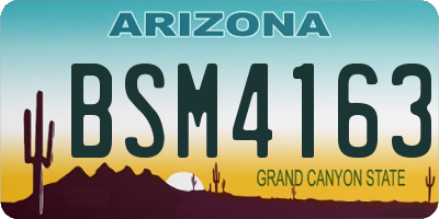 AZ license plate BSM4163