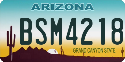 AZ license plate BSM4218