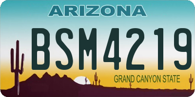 AZ license plate BSM4219