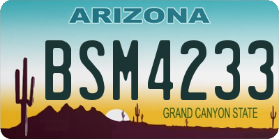 AZ license plate BSM4233