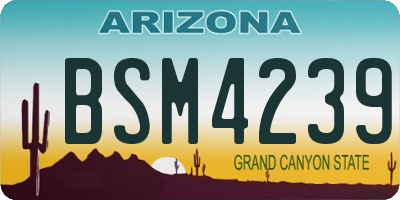 AZ license plate BSM4239