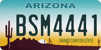 AZ license plate BSM4441