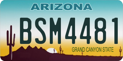 AZ license plate BSM4481