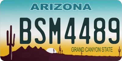 AZ license plate BSM4489