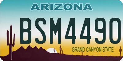 AZ license plate BSM4490