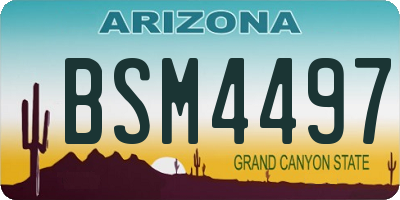 AZ license plate BSM4497