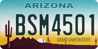 AZ license plate BSM4501