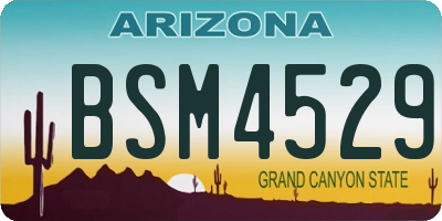 AZ license plate BSM4529