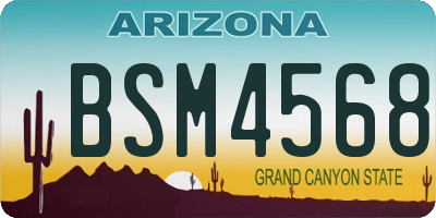 AZ license plate BSM4568