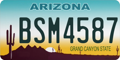 AZ license plate BSM4587